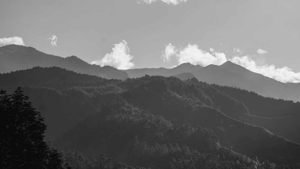 Минимализм Эстетика