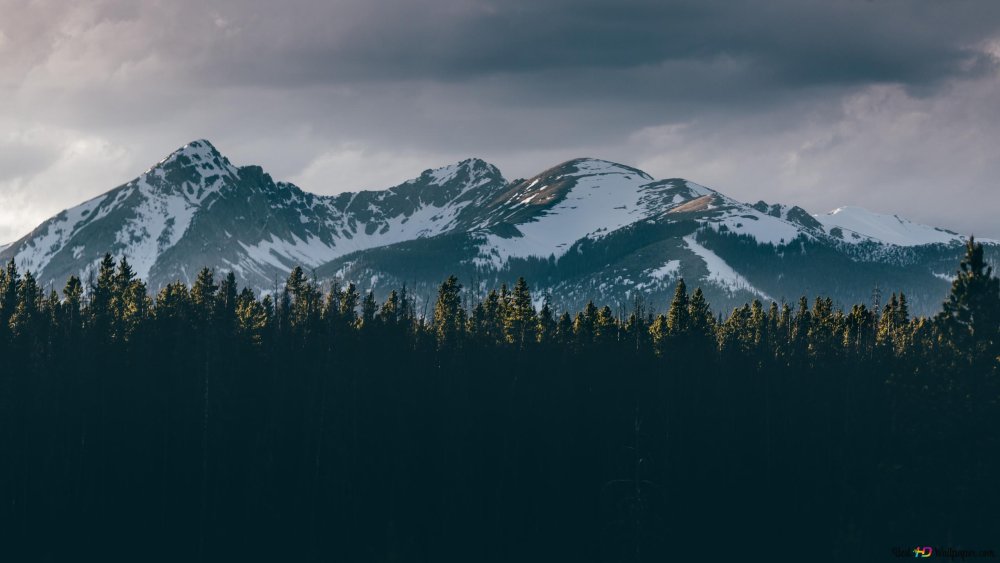 Картинки на рабочий стол чб