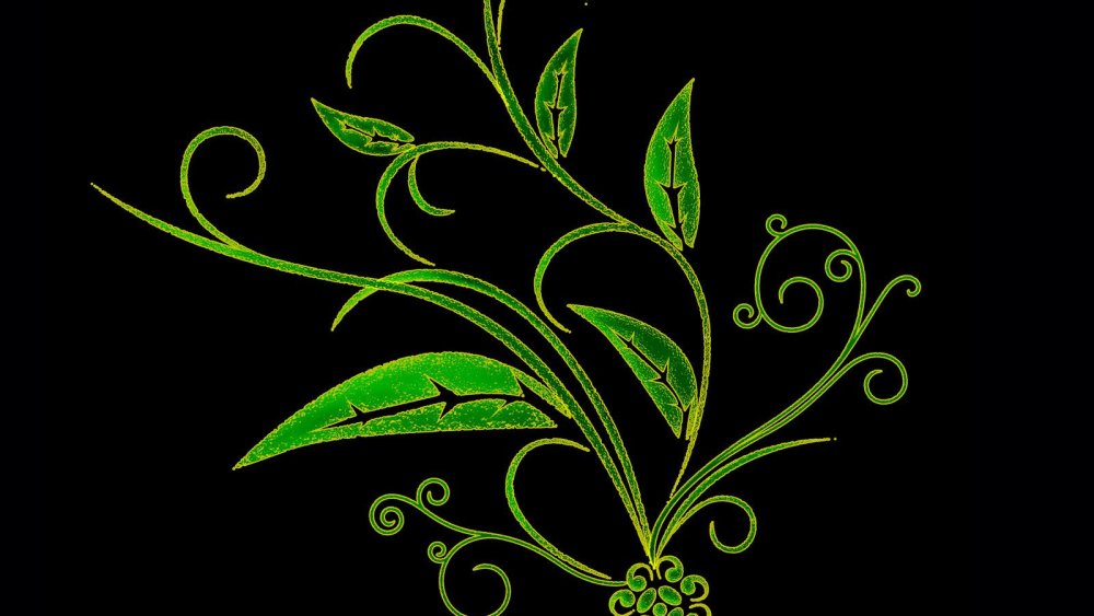 Цветы на черной бумаге