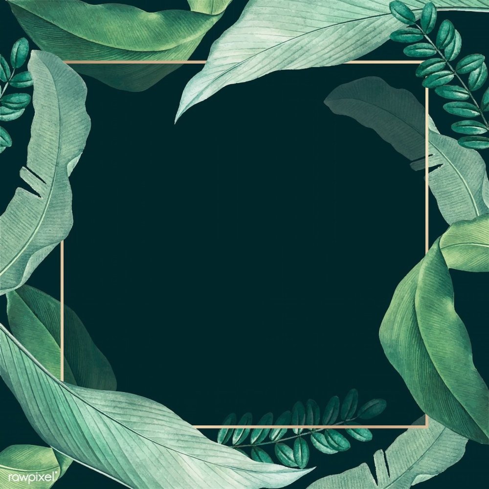 Зеленый фон для инстаграмма