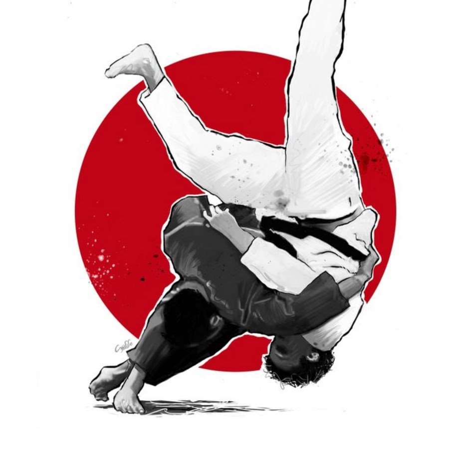 Джиу джитсу бросок