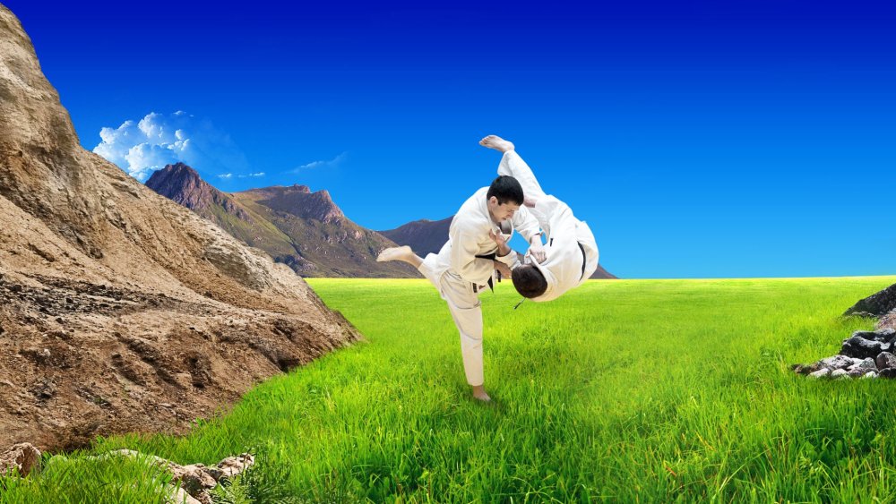 Дзюдо картинки