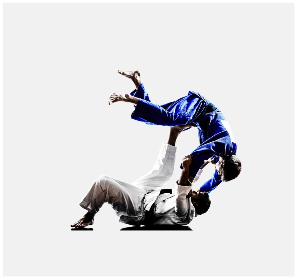 Броски в джиу-джитсу