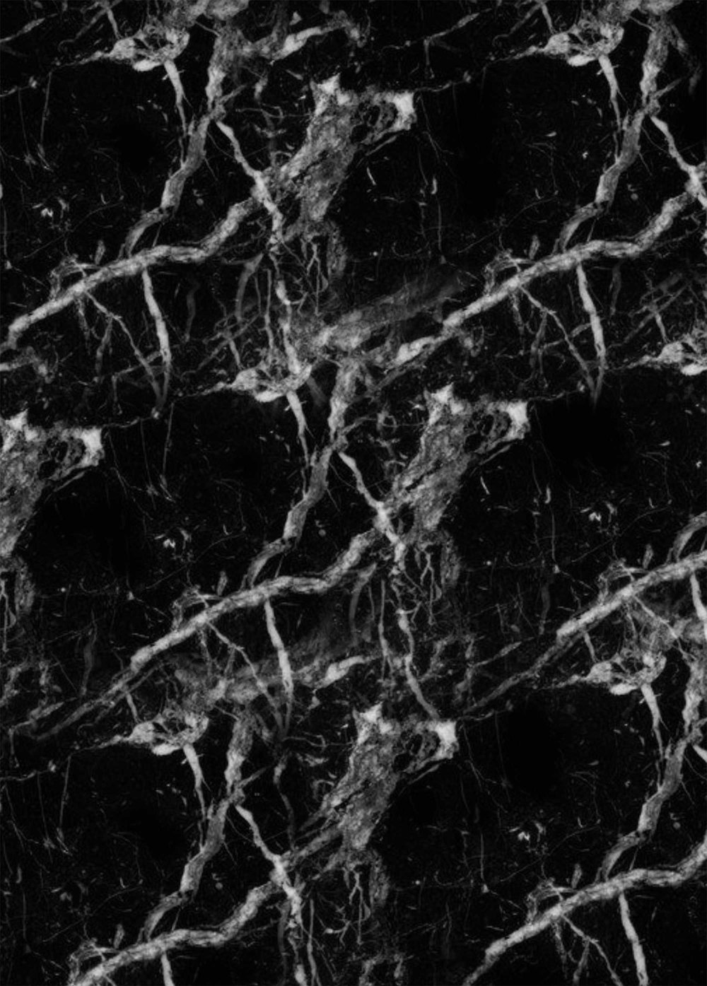 Эшфордский чёрный мрамор