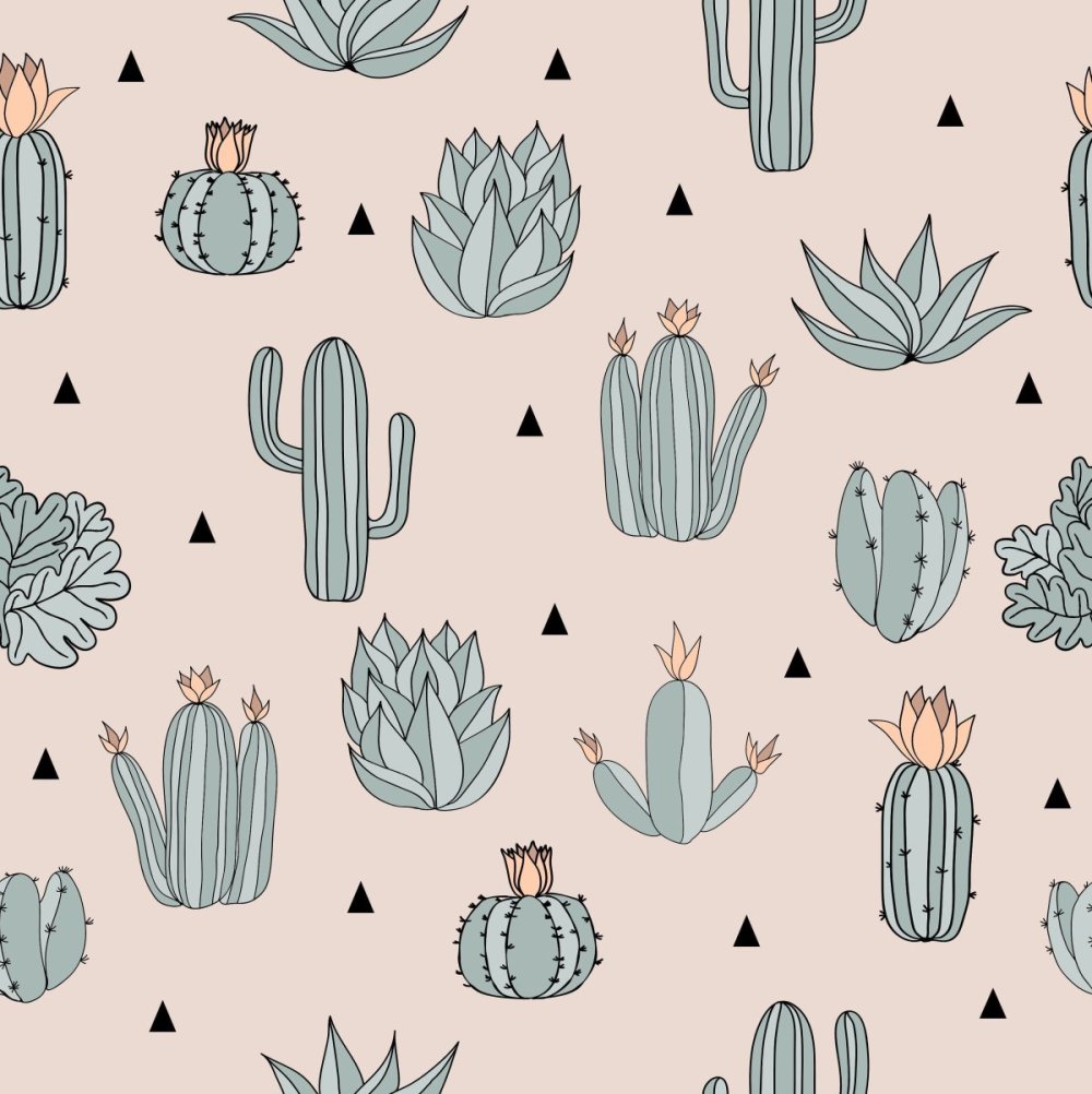 Кактусы паттерн вектор