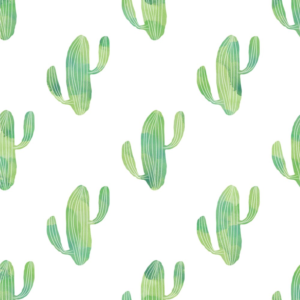 Кактус на зеленом фоне