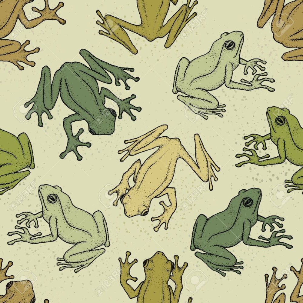 Принт лягушки