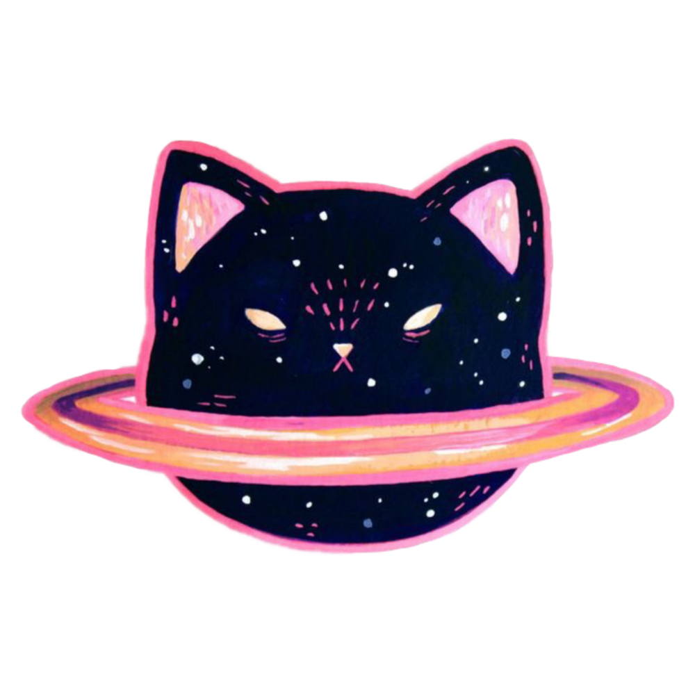 Космо котики