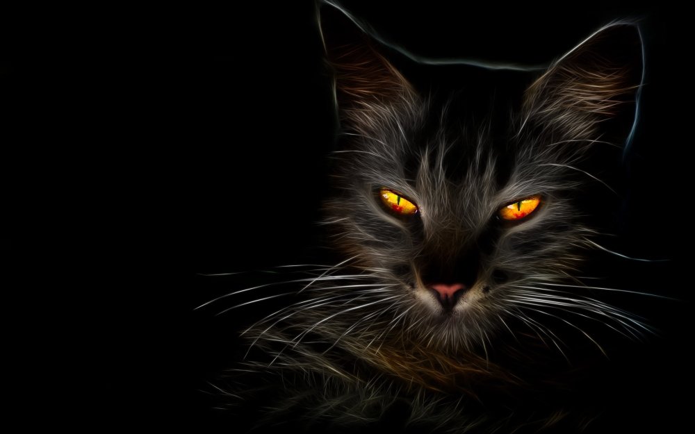 Черная кошка на черном фоне