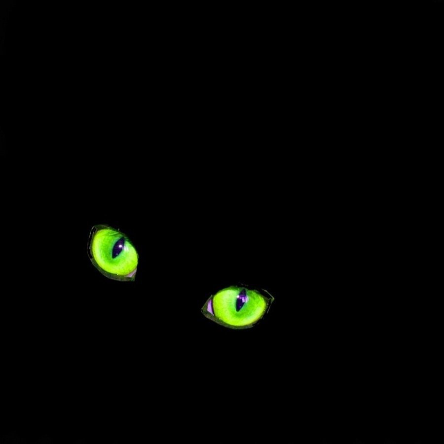 Зеленые глаза в темноте