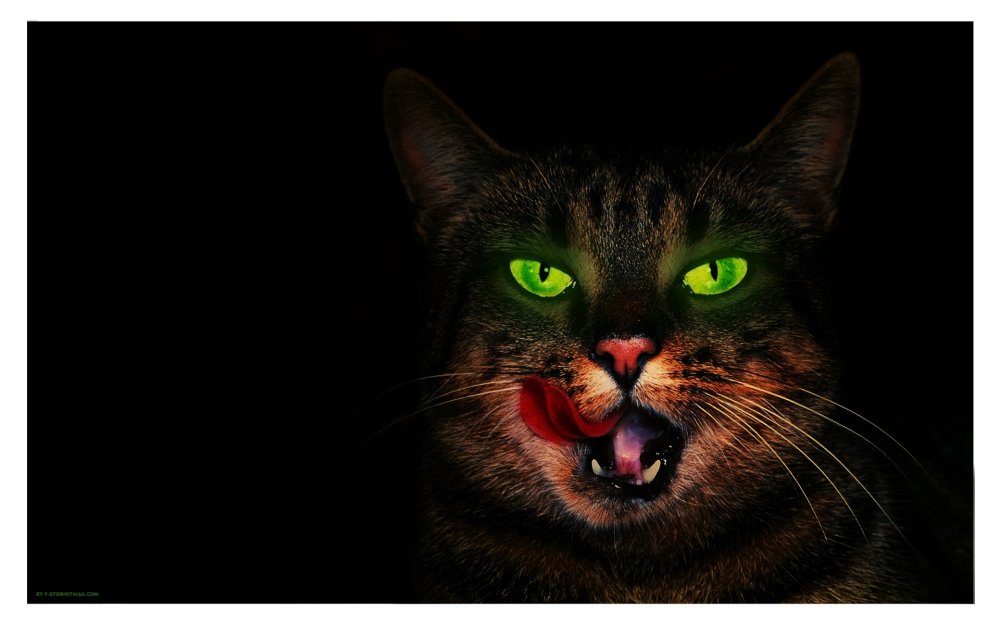 Кошачьи глаза в темноте