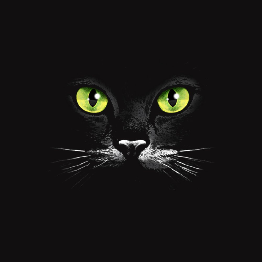 Кошка в темноте