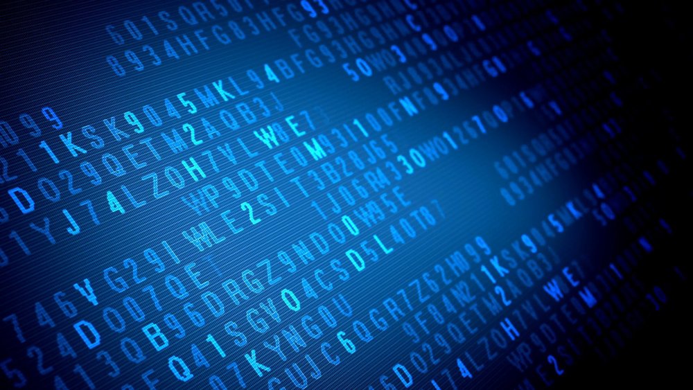 Программирование фон