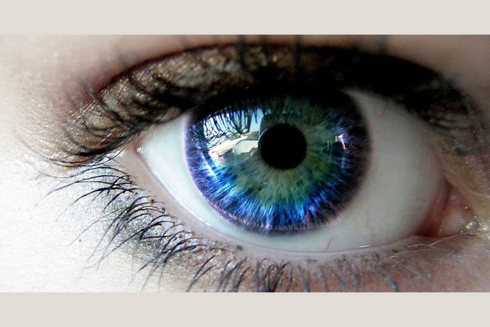 Глаза в темноте