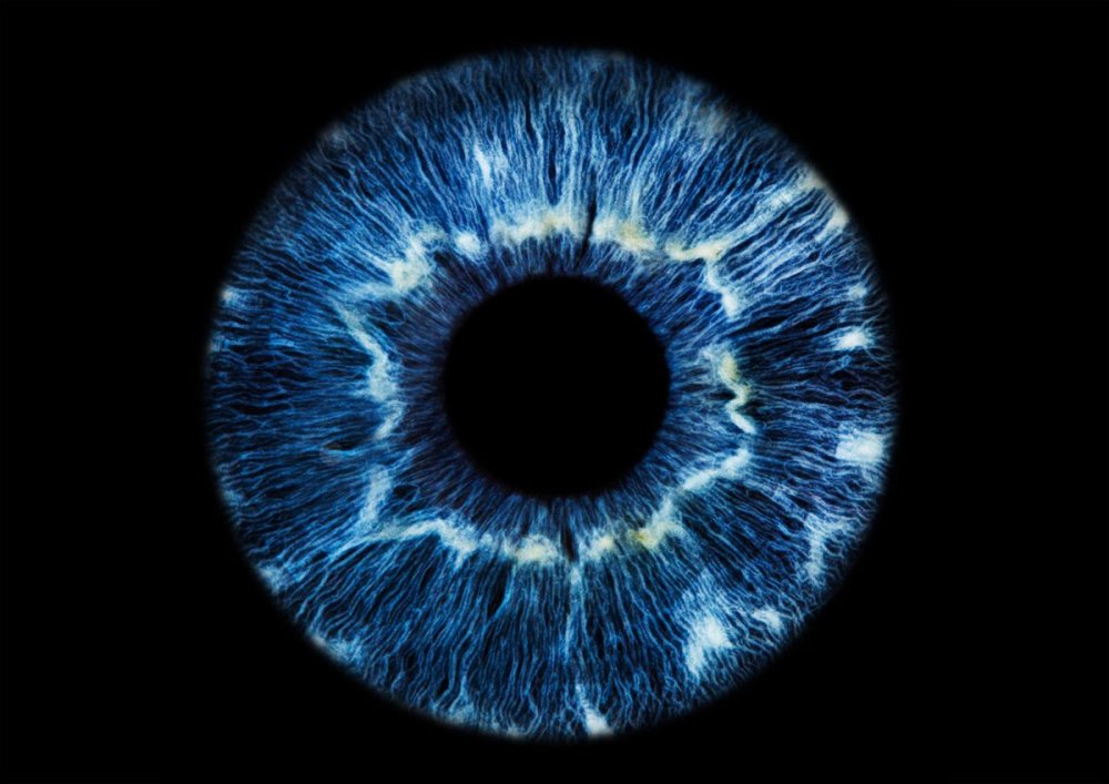 Зрачок глаза