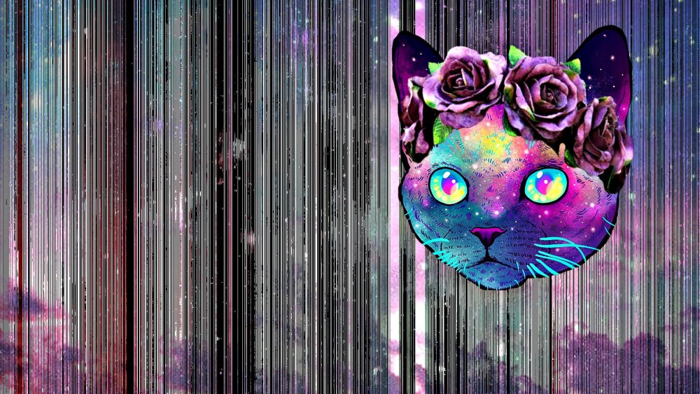 Красивые обои на телефон