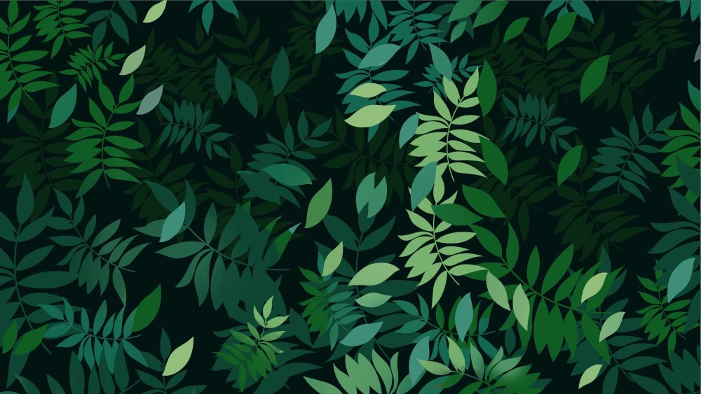 Зеленые листья на белом фоне