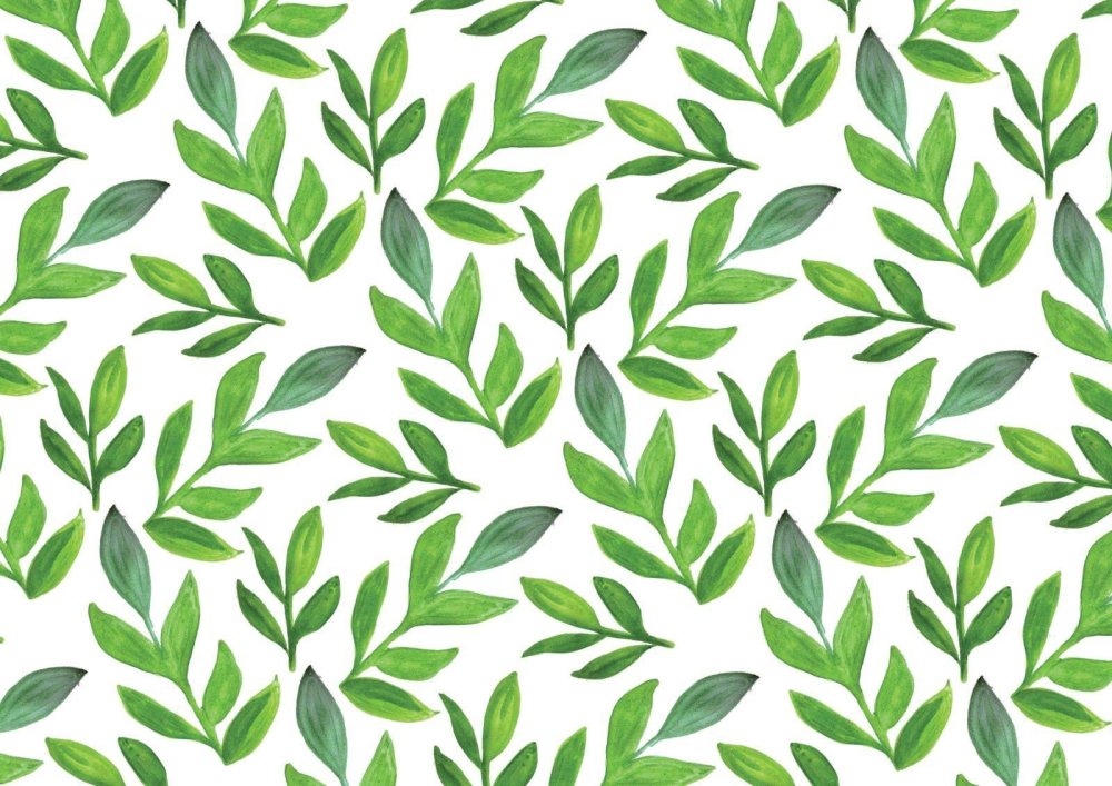 Green растения Эстетика пинтерес