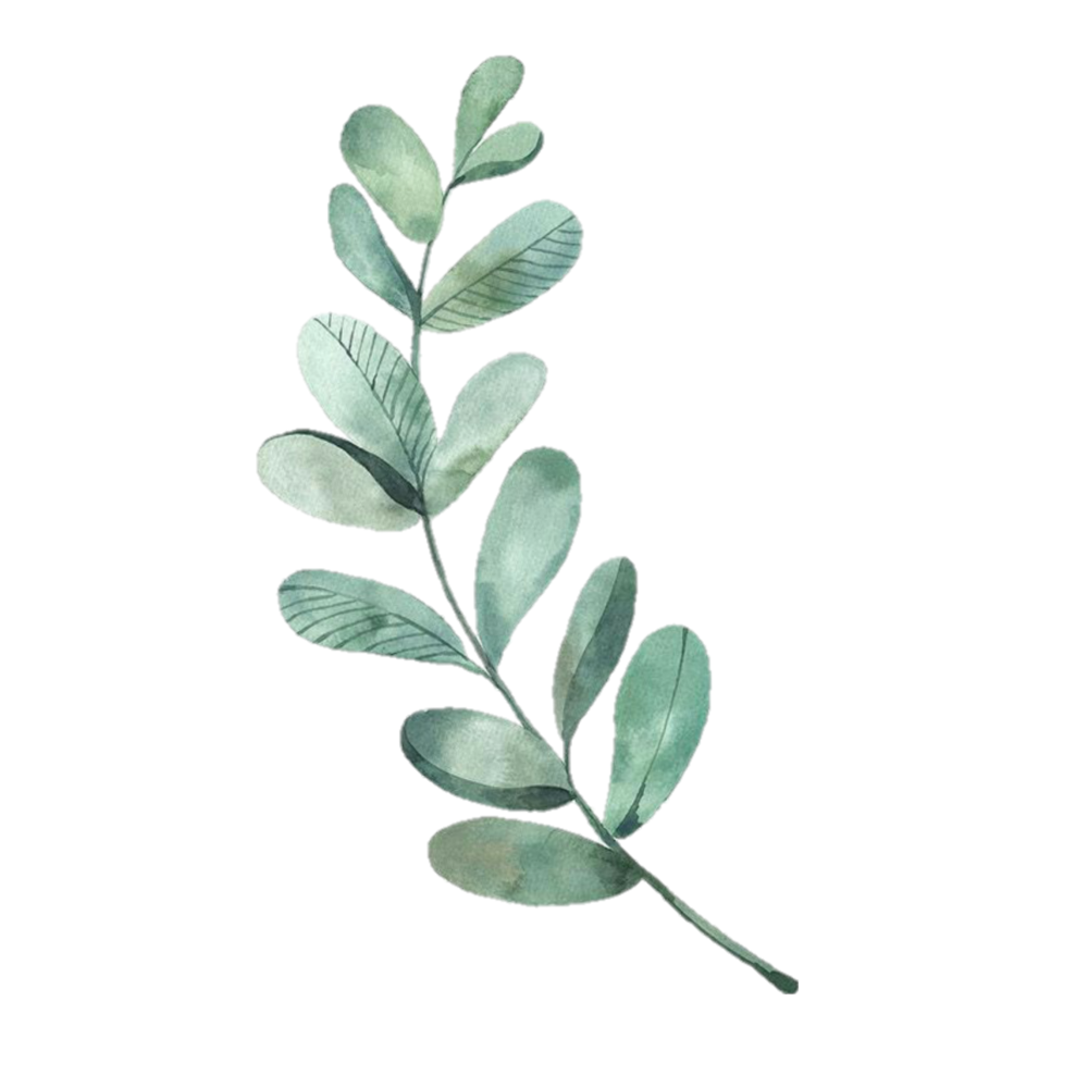 Принты полоска