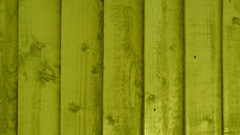 Оливковый фон для фотошопа