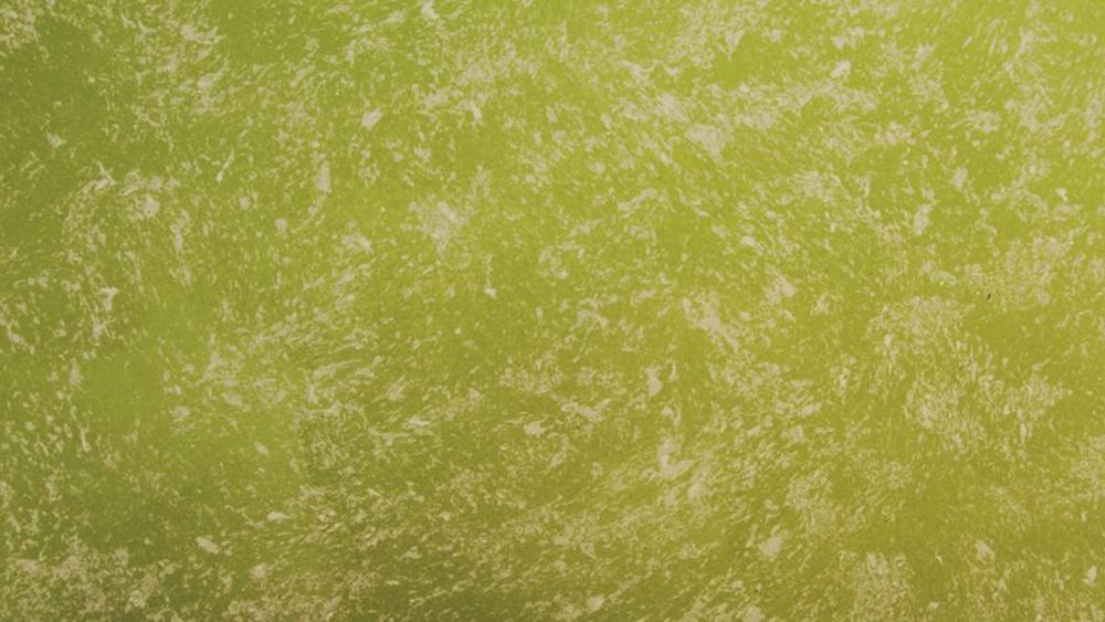 Декоративная штукатурка зеленого цвета