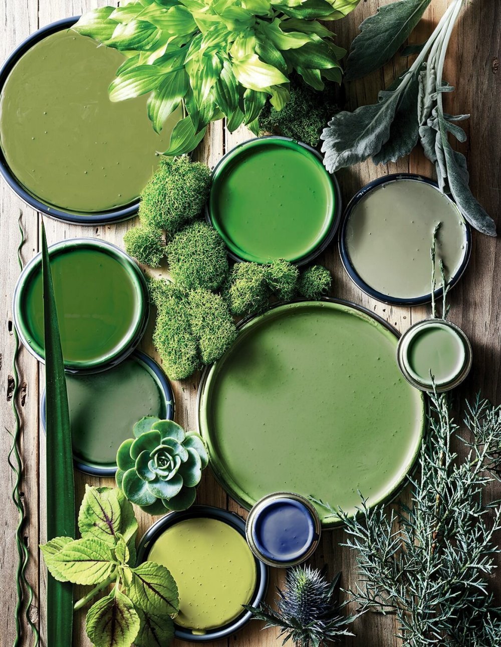 Зеленый цвет