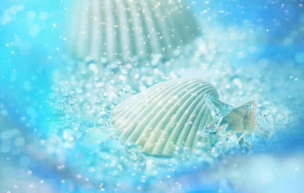 Бирюзовые ракушки