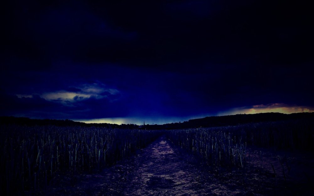 Темное поле