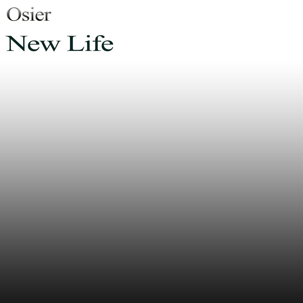 Дуб Тристан мсн77537