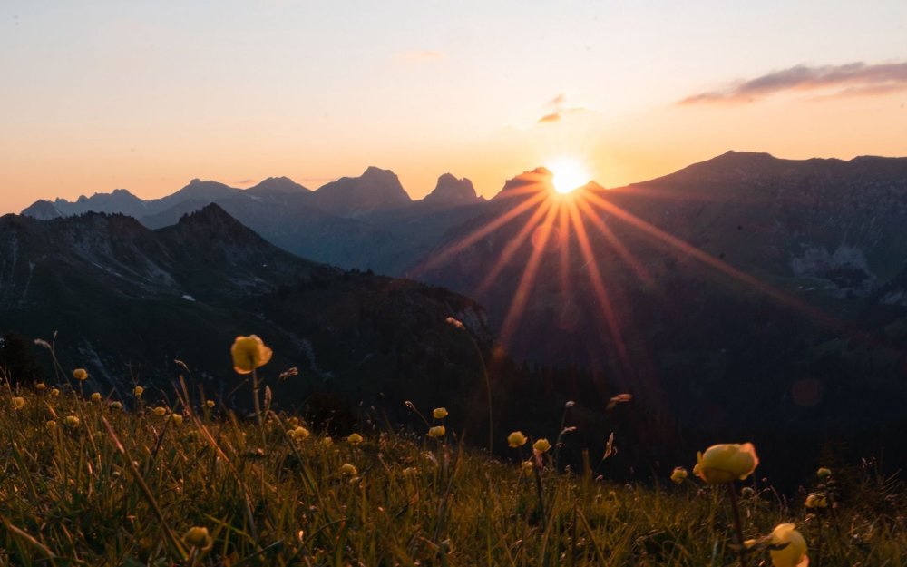 Лучи солнца