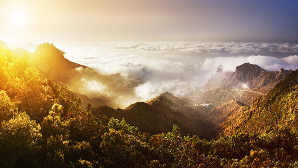 Тенерифе вид с горы над облаками