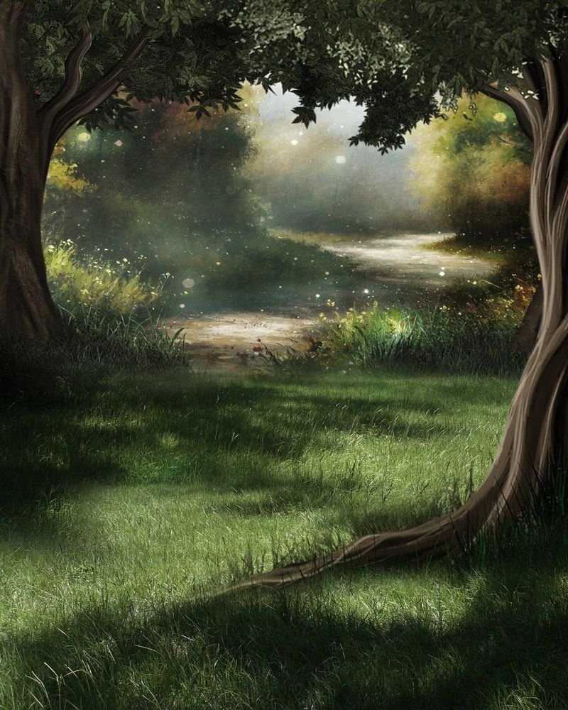 Магический лес