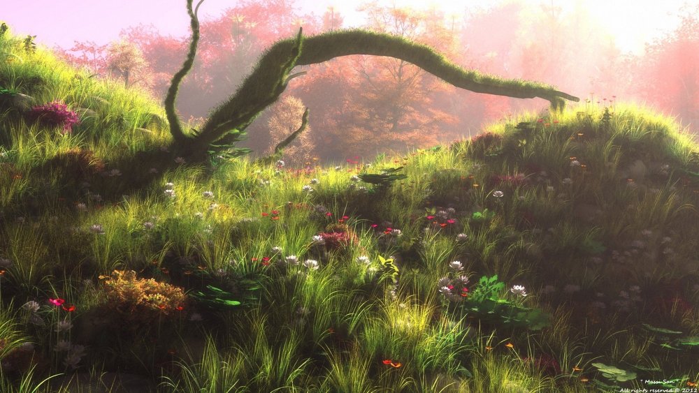 Лес Полянка фэнтези