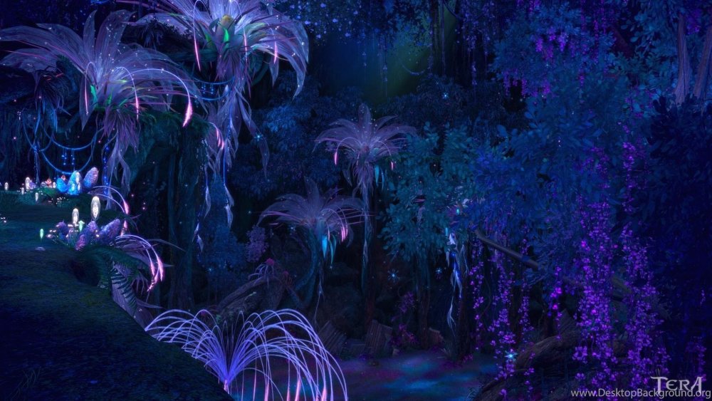 Ночной сказочный лес