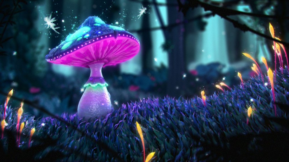 Мушрумс грибы Мэджик машрумс