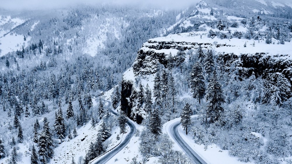 Снег и лес горы вид сверху