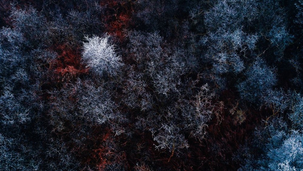 Текстура льда