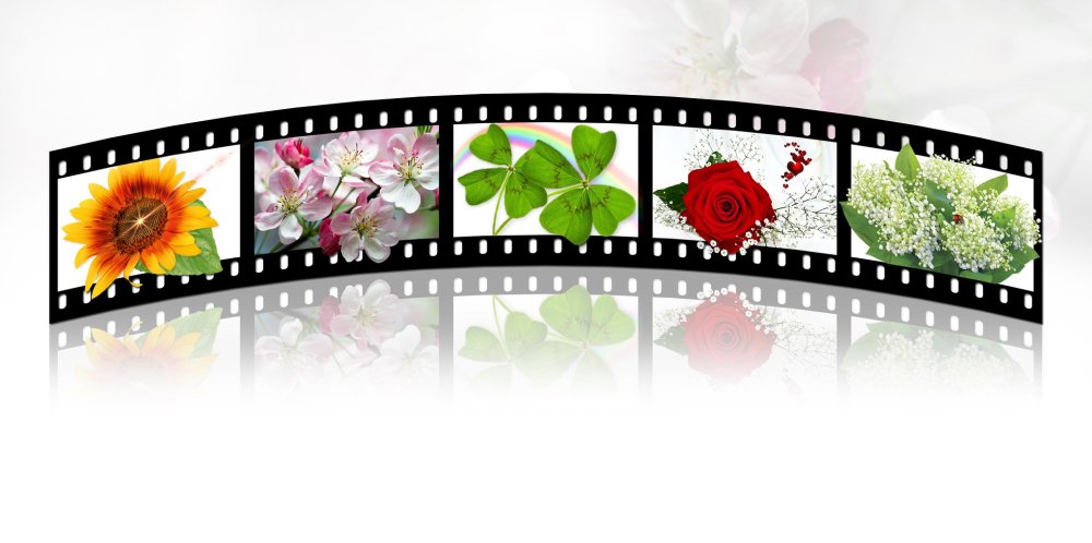 Фотопленка с фотографиями