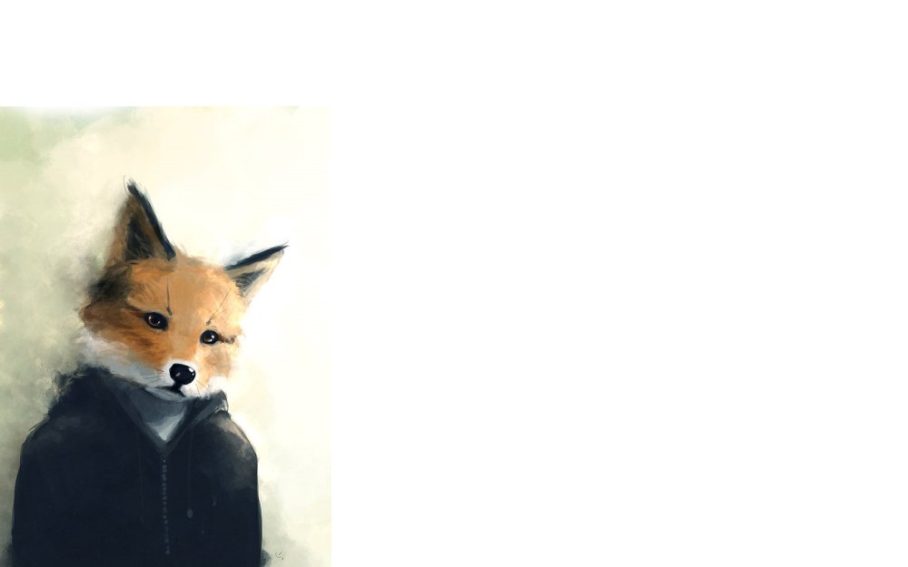 Лис в шапке