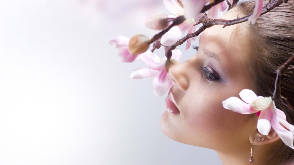 Стилист фон