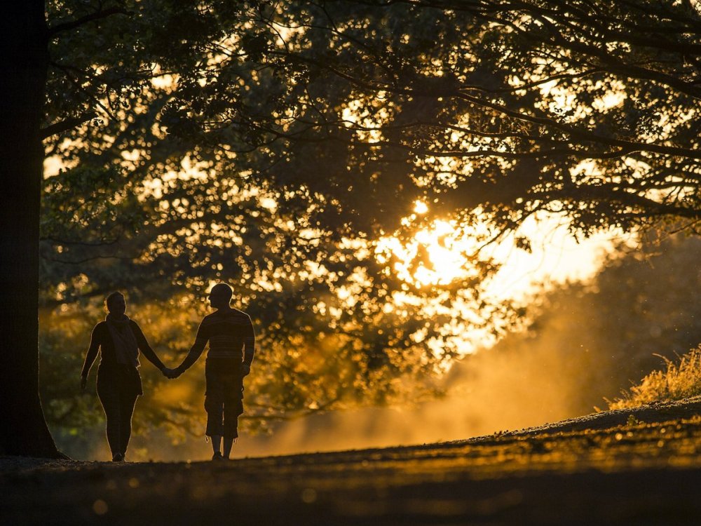 Прогулка вечером