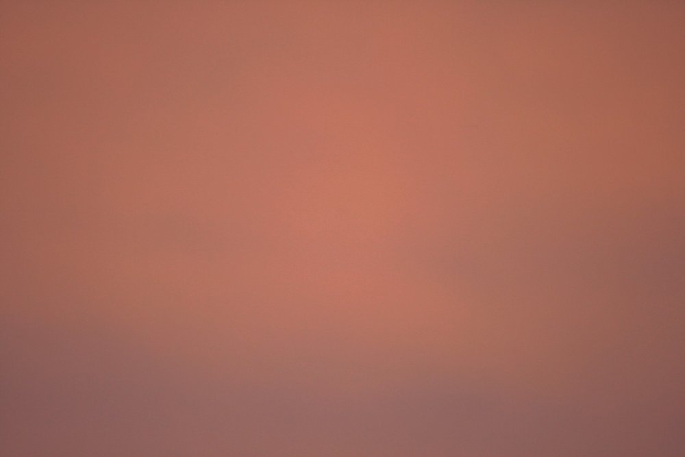 Фон однотонный нюд