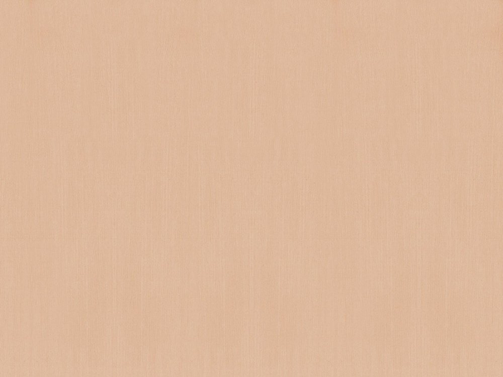 Обои Rasch 805840