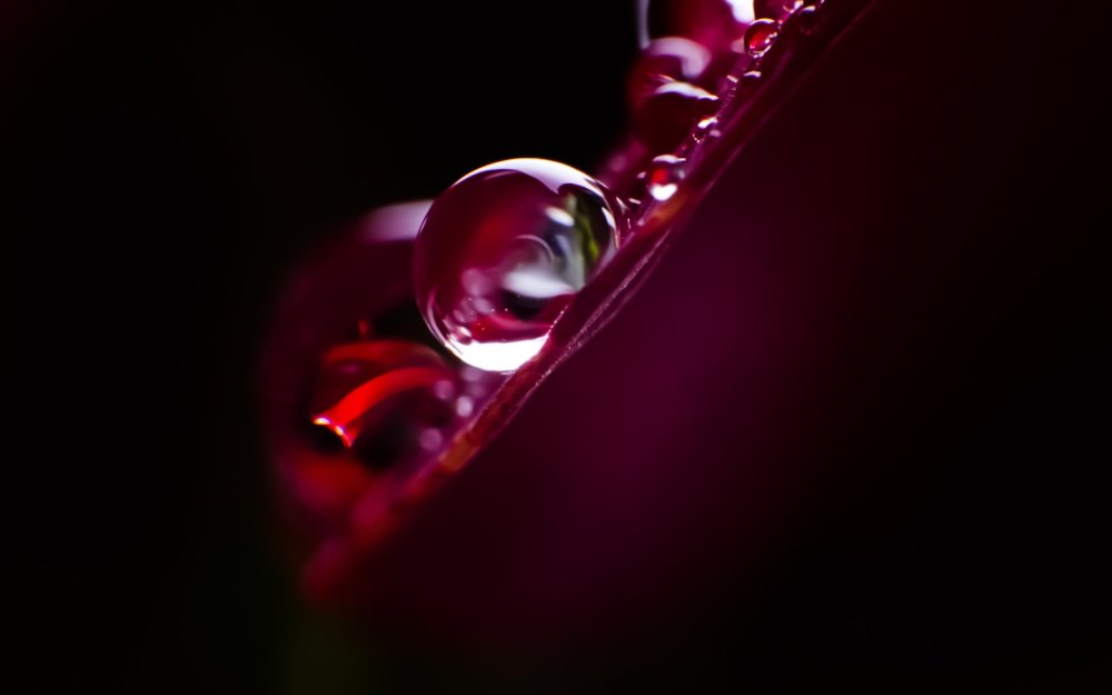 Капли на бордовом фоне