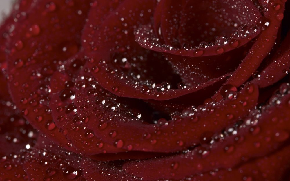 Красные обои на телефон