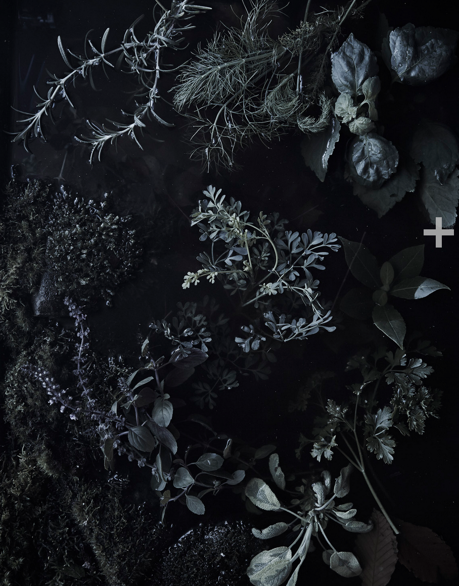 Темная Эстетика