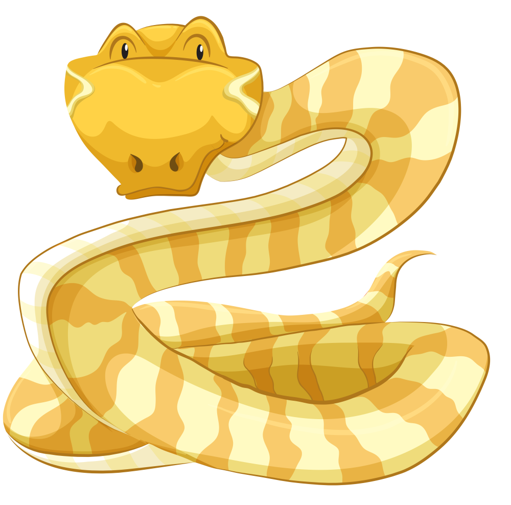 Тигровый питон желтый