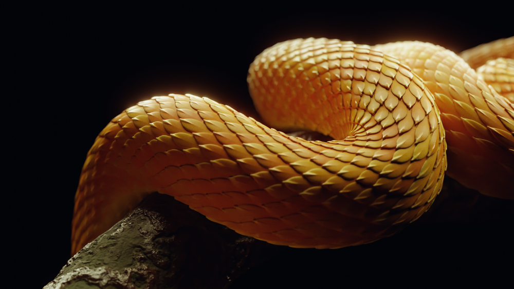 Змейка черная с желтым рисунком