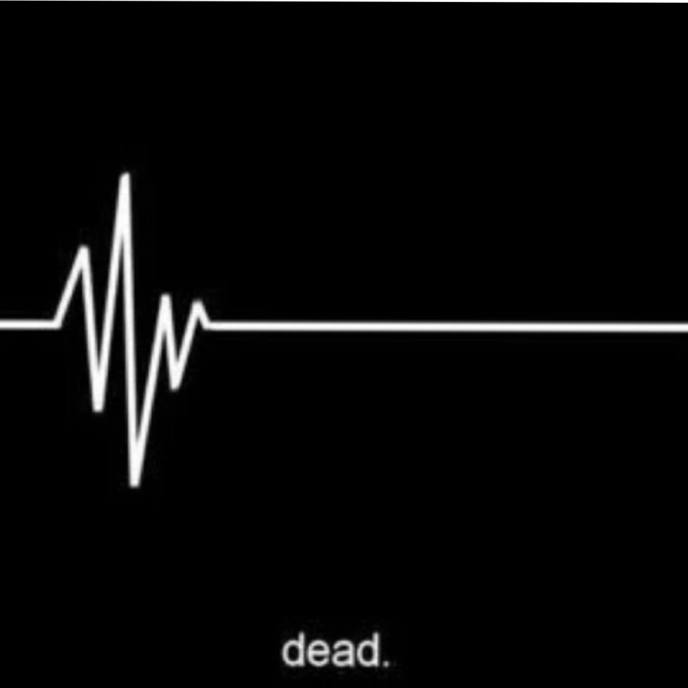 Обои на телефон пульс