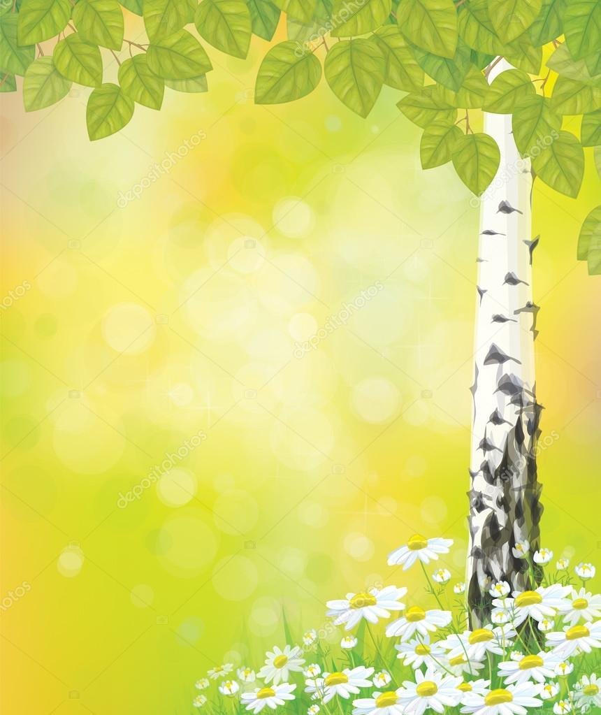 Фон Березки вертикальный